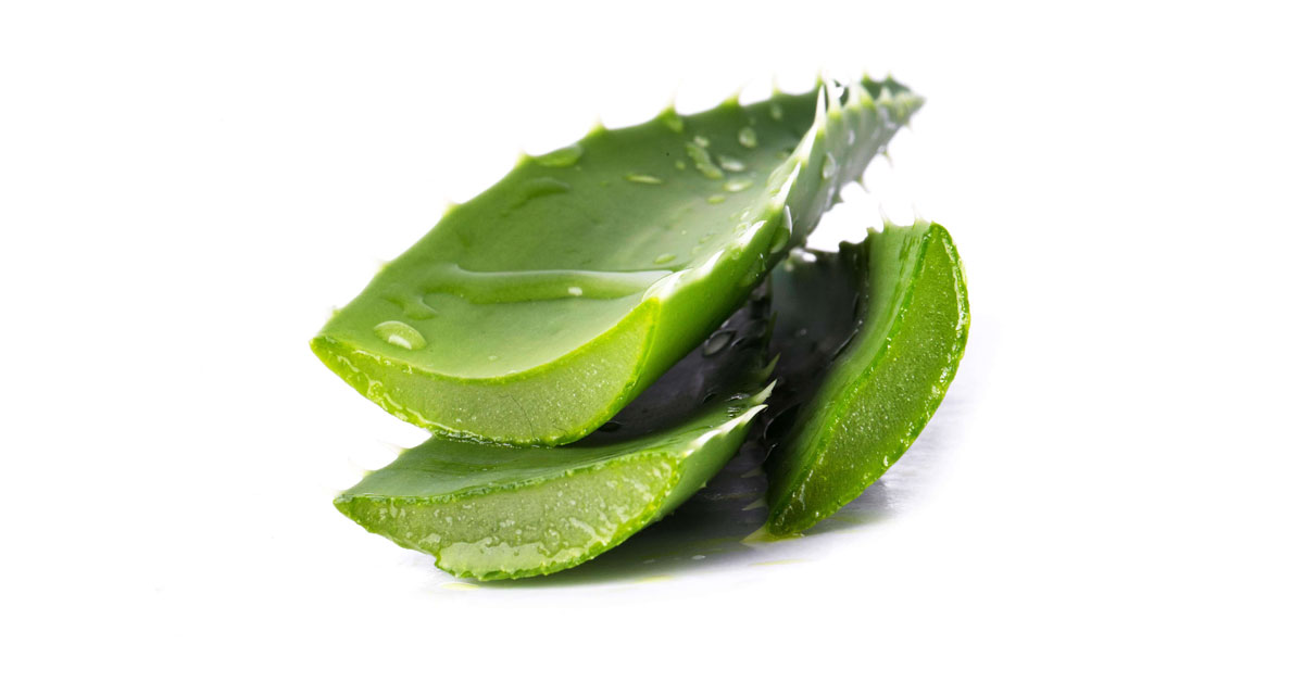 8 Khasiat Aloe Vera untuk Kecantikan